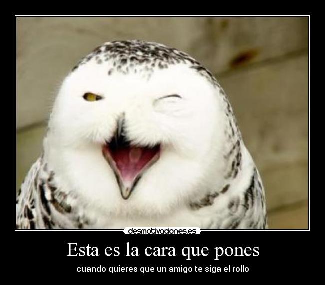 carteles diego_party clanvirus tengo bollicao porque clanfuego melorobo desmotivaciones