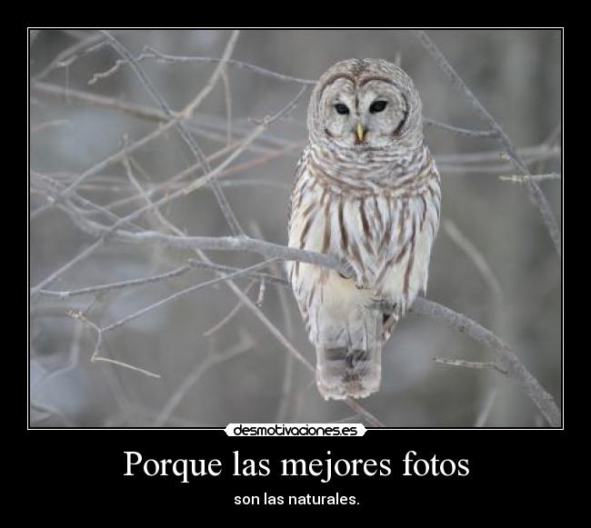 Porque las mejores fotos - son las naturales.