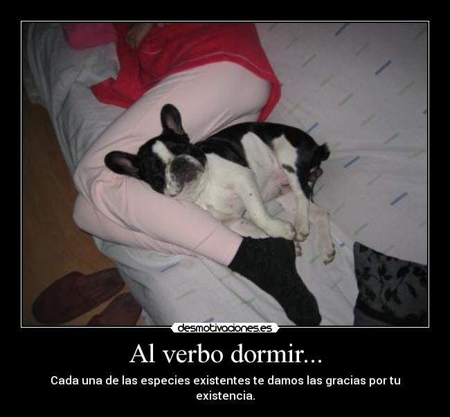 Al verbo dormir... - Cada una de las especies existentes te damos las gracias por tu existencia.