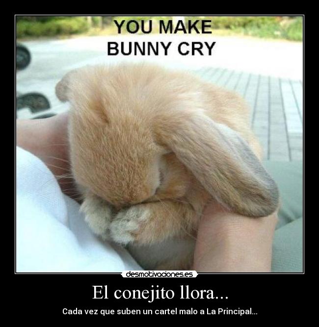 El conejito llora... -