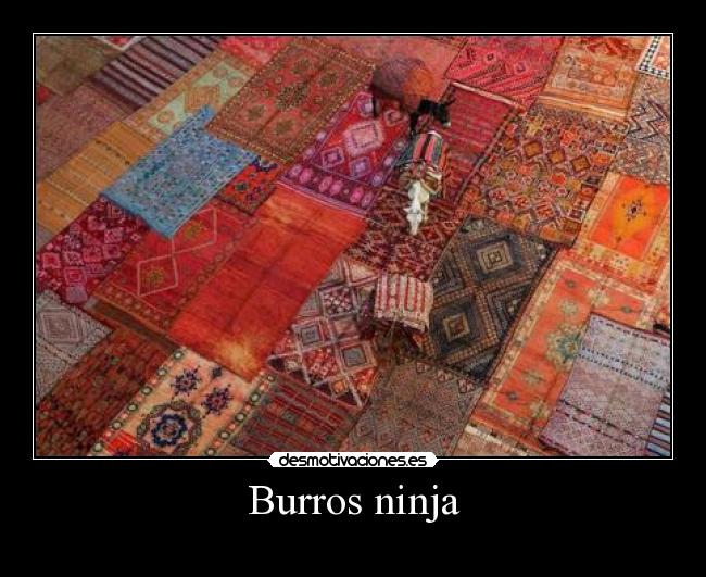 Burros ninja -