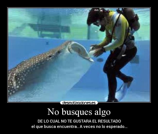No busques algo - DE LO CUAL NO TE GUSTARA EL RESULTADO
el que busca encuentra.. A veces no lo esperado...