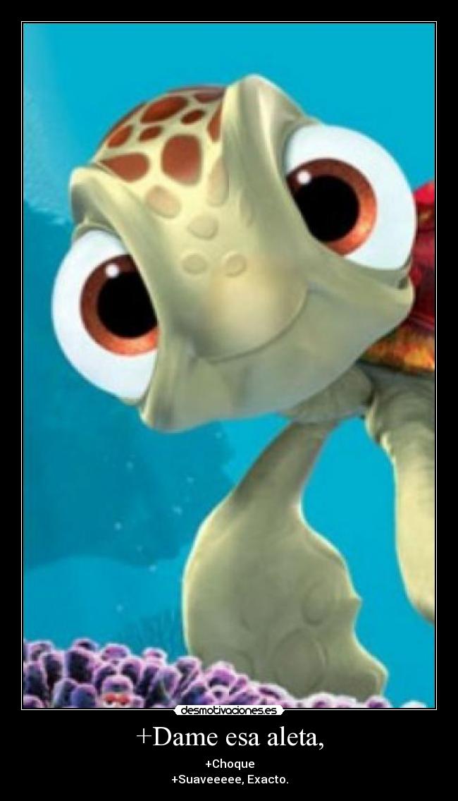 +Dame esa aleta, - 