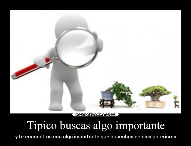 Tipico buscas algo importante - 