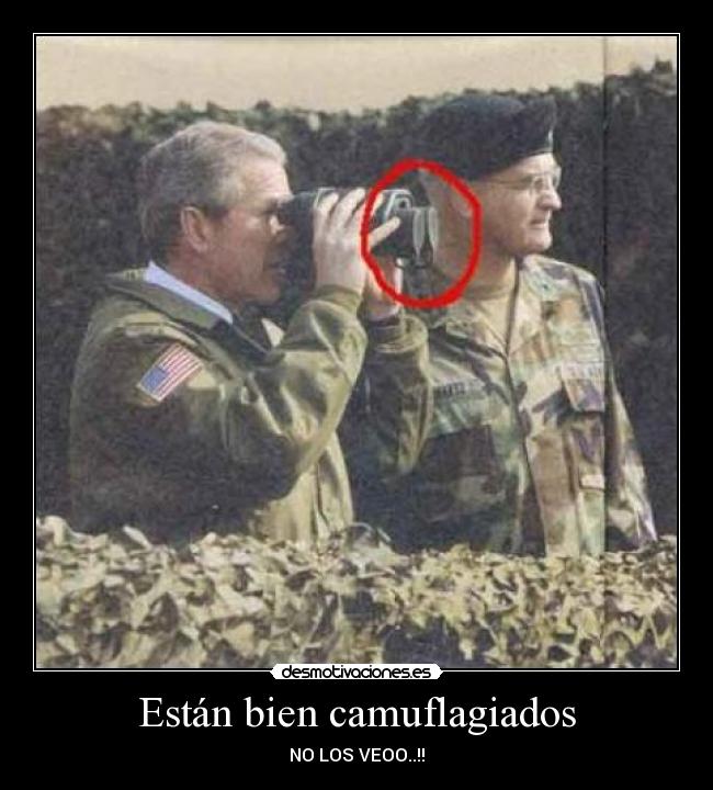 Están bien camuflagiados - NO LOS VEOO..!!