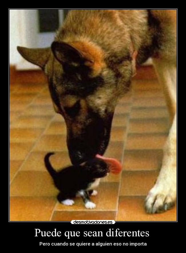Puede que sean diferentes - Pero cuando se quiere a alguien eso no importa