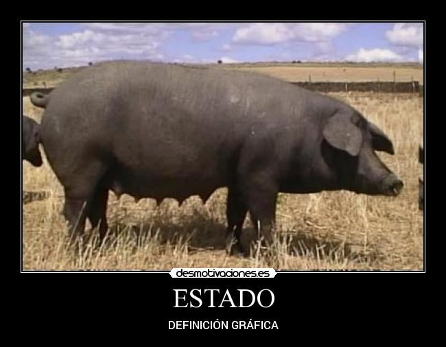 ESTADO - DEFINICIÓN GRÁFICA