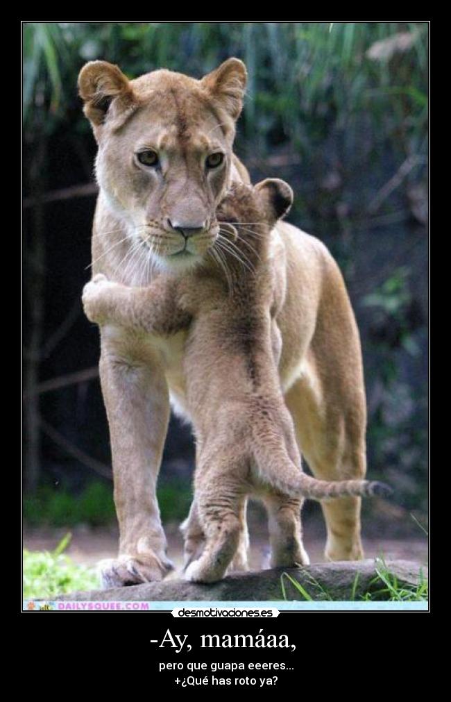 -Ay, mamáaa,  - pero que guapa eeeres...
+¿Qué has roto ya?