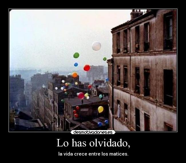 Lo has olvidado, - 