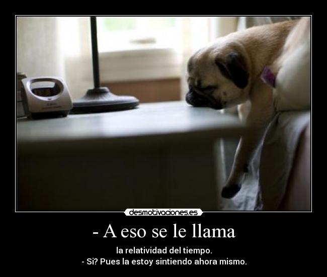 - A eso se le llama - 