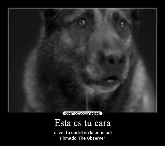 Esta es tu cara - al ver tu cartel en la principal
Firmado: The Observer