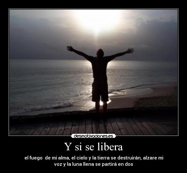 carteles sadasd desmotivaciones