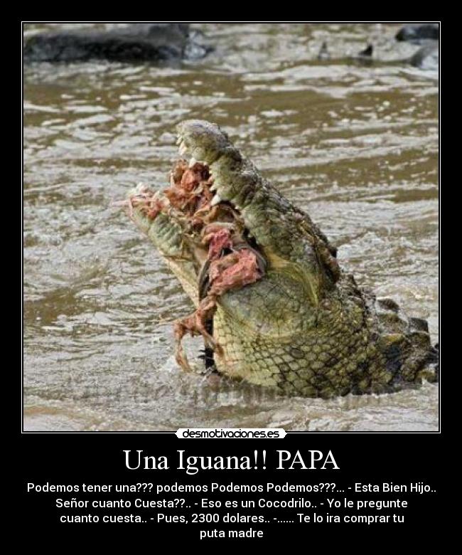 carteles iguana cocodrilo papa cuesta pregunta podemos hijo desmotivaciones