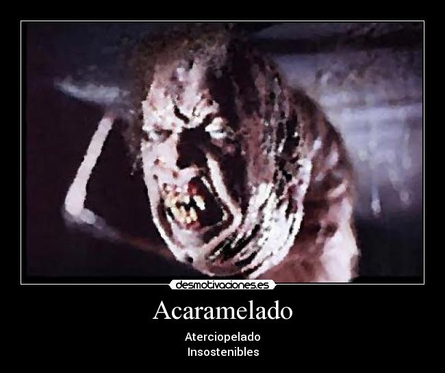 Acaramelado - 