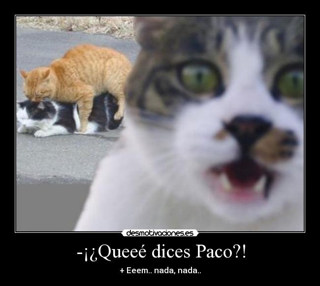 -¡¿Queeé dices Paco?! - + Eeem.. nada, nada..