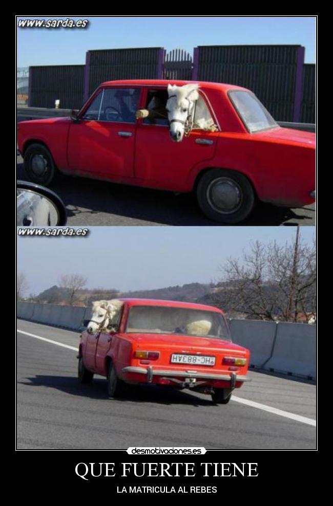 QUE FUERTE TIENE - LA MATRICULA AL REBES