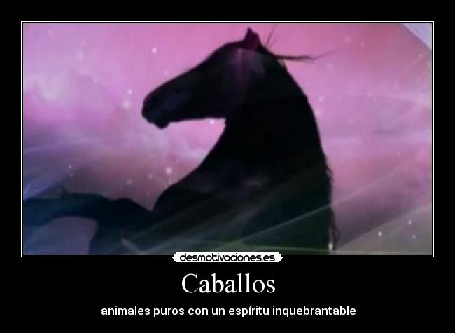 Caballos -
