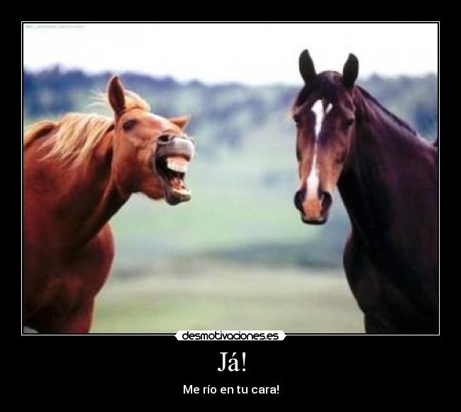 Já! - Me río en tu cara!