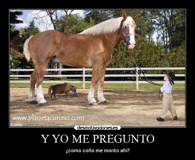 Y YO ME PREGUNTO - ¿como coño me monto ahi?