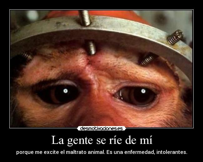 La gente se ríe de mí - porque me excite el maltrato animal. Es una enfermedad, intolerantes.