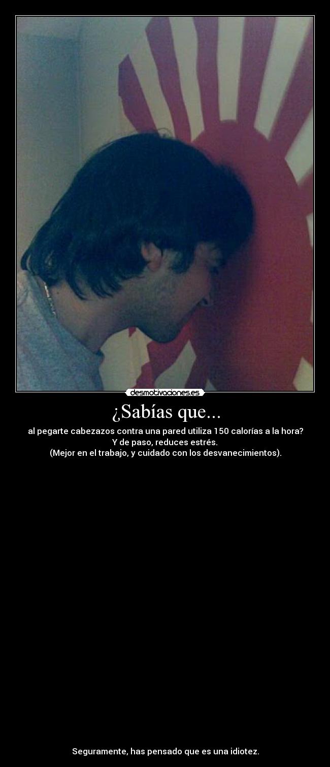 ¿Sabías que... - al pegarte cabezazos contra una pared utiliza 150 calorías a la hora?
Y de paso, reduces estrés.
(Mejor en el trabajo, y cuidado con los desvanecimientos).



























Seguramente, has pensado que es una idiotez.
