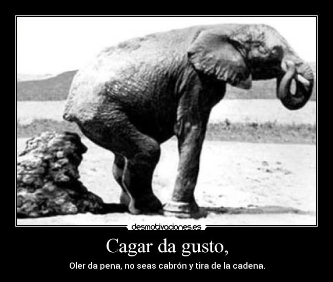 Cagar da gusto, -