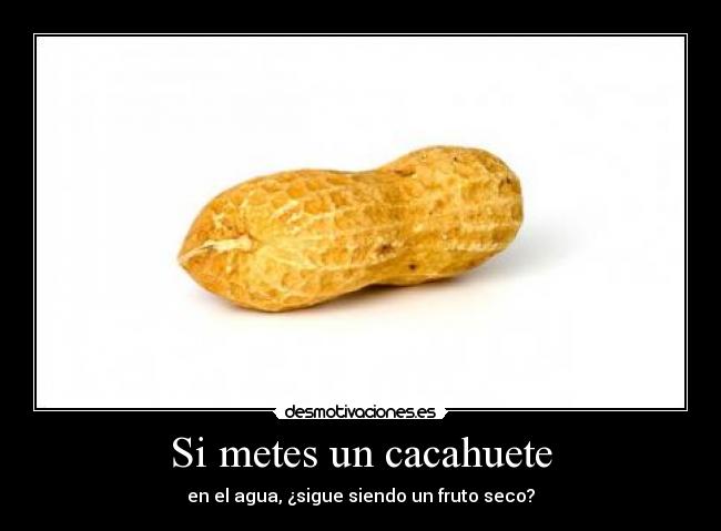 Si metes un cacahuete - en el agua, ¿sigue siendo un fruto seco?