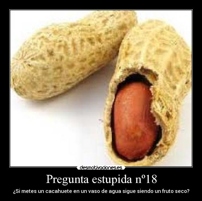 Pregunta estupida nº18 - 