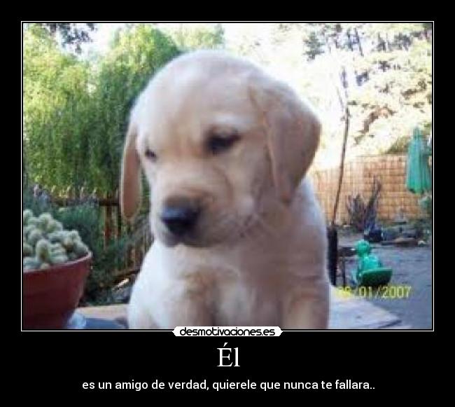 Él - es un amigo de verdad, quierele que nunca te fallara..
