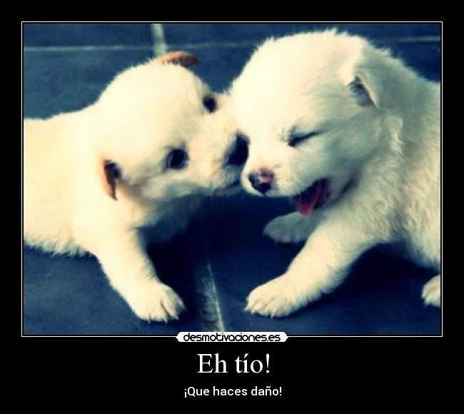 Eh tío! -
