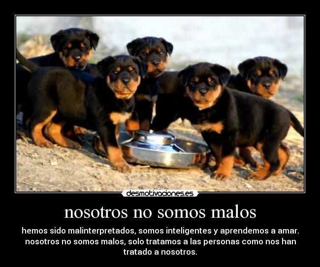 nosotros no somos malos - hemos sido malinterpretados, somos inteligentes y aprendemos a amar.
nosotros no somos malos, solo tratamos a las personas como nos han
tratado a nosotros.