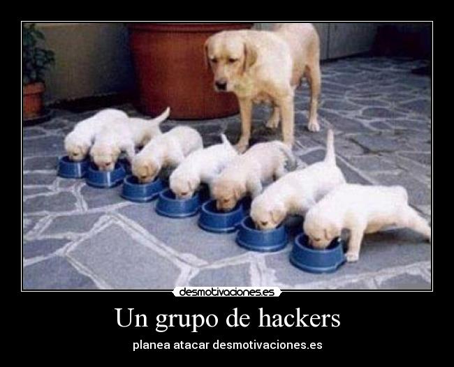Un grupo de hackers -