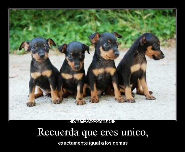 Recuerda que eres unico, -