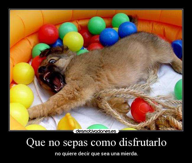 Que no sepas como disfrutarlo -