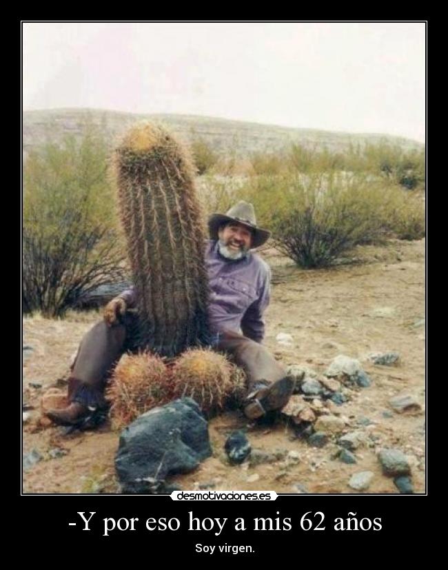 carteles cactus desmotivaciones