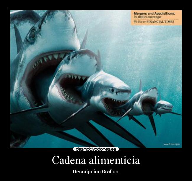 Cadena alimenticia - 