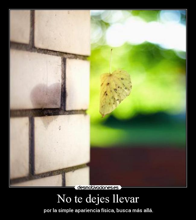 No te dejes llevar - 