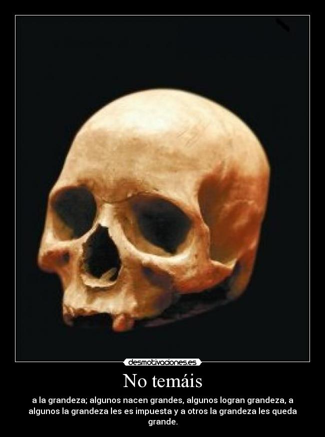 carteles temais grandeza algunos nacen grandes algunos logran grandeza algunos grandeza les desmotivaciones