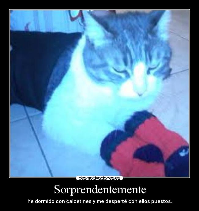 Sorprendentemente -