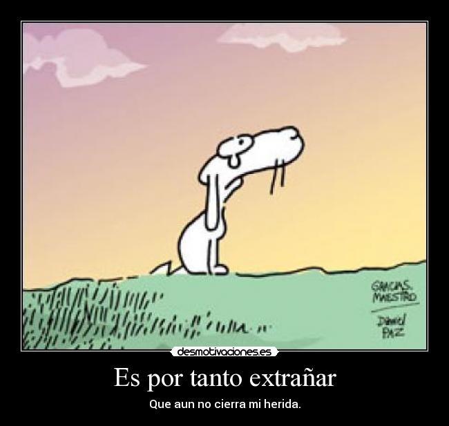 Es por tanto extrañar - Que aun no cierra mi herida.