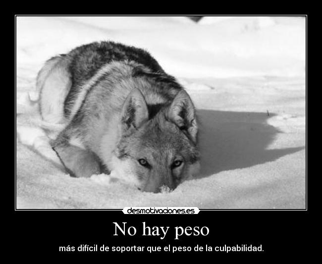 No hay peso - más difícil de soportar que el peso de la culpabilidad.