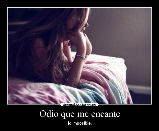 carteles odio odio que encante imposible desmotivaciones