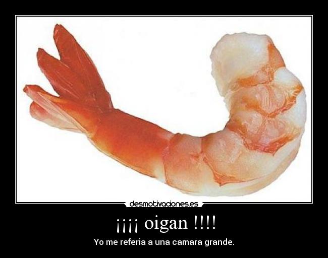 ¡¡¡¡ oigan !!!! - Yo me referia a una camara grande.