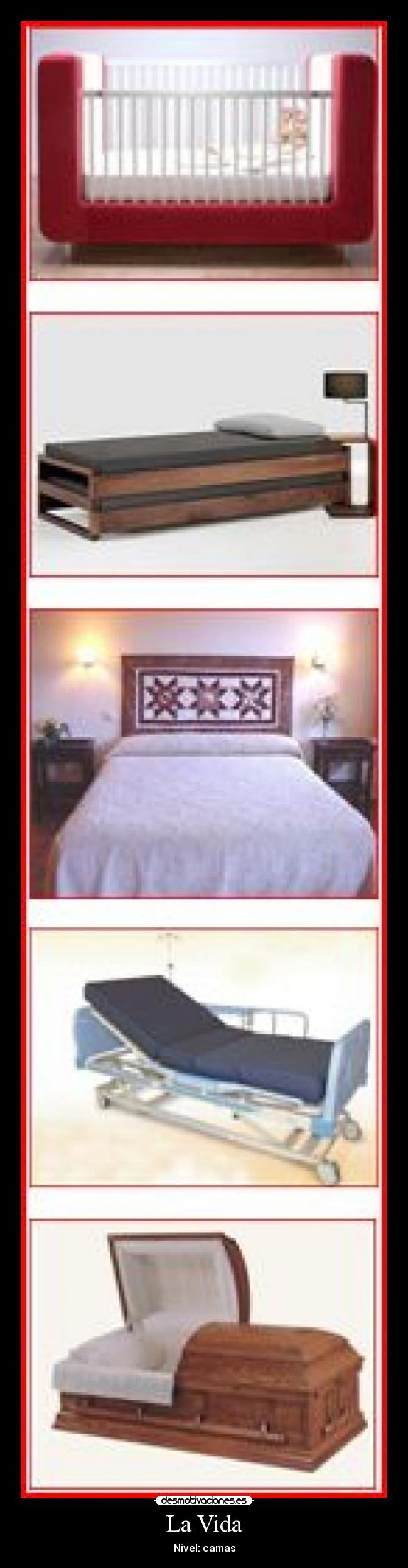 La Vida - Nivel: camas