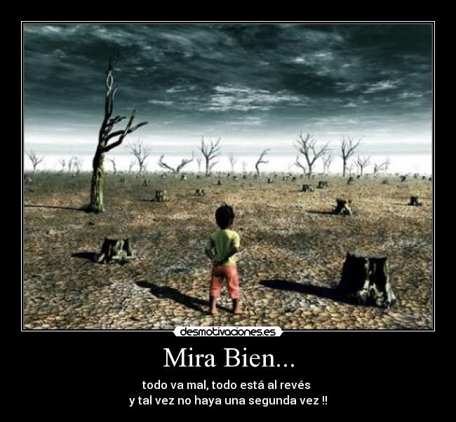 carteles kuyt desmotivaciones