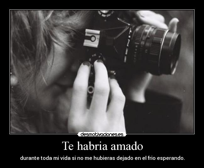 Te habria amado -