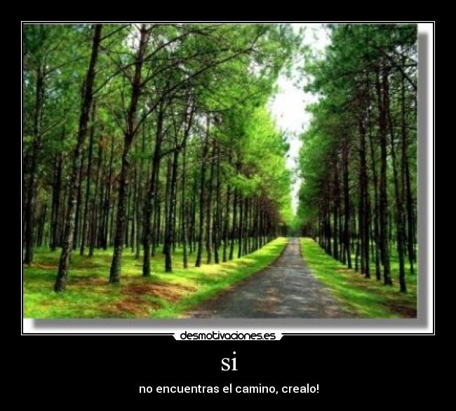 si - no encuentras el camino, crealo!