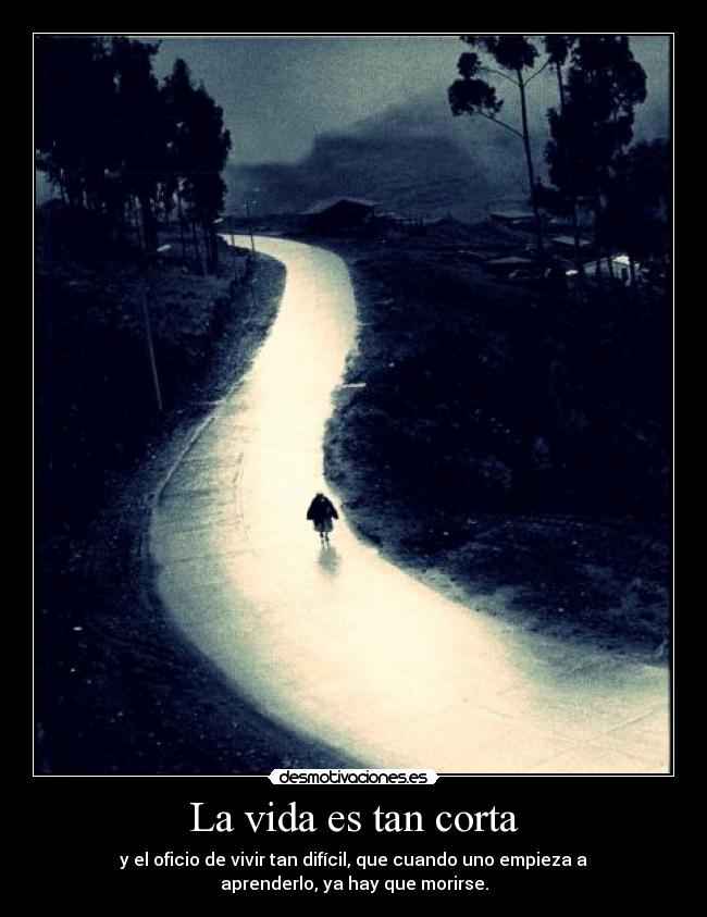La vida es tan corta - 