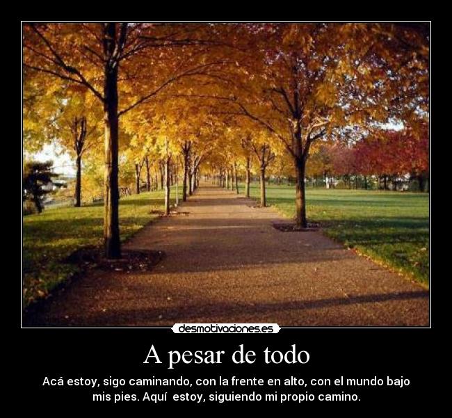 A pesar de todo - Acá estoy, sigo caminando, con la frente en alto, con el mundo bajo
mis pies. Aquí  estoy, siguiendo mi propio camino.