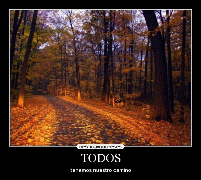 TODOS - tenemos nuestro camino